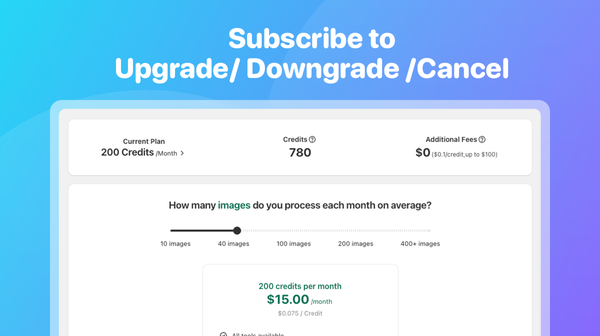 Subscribe to Upgrades and Downgrades in Shopaw AI